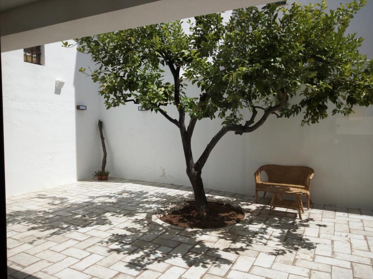 Bed and Breakfast Cortile Calinea Castrignano del Capo Exterior foto